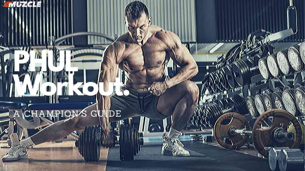 PHUL Workout A Champion’s Guide (2020)
