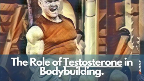 Does Sperm Contain Testosterone and How Important Is It for Fertility