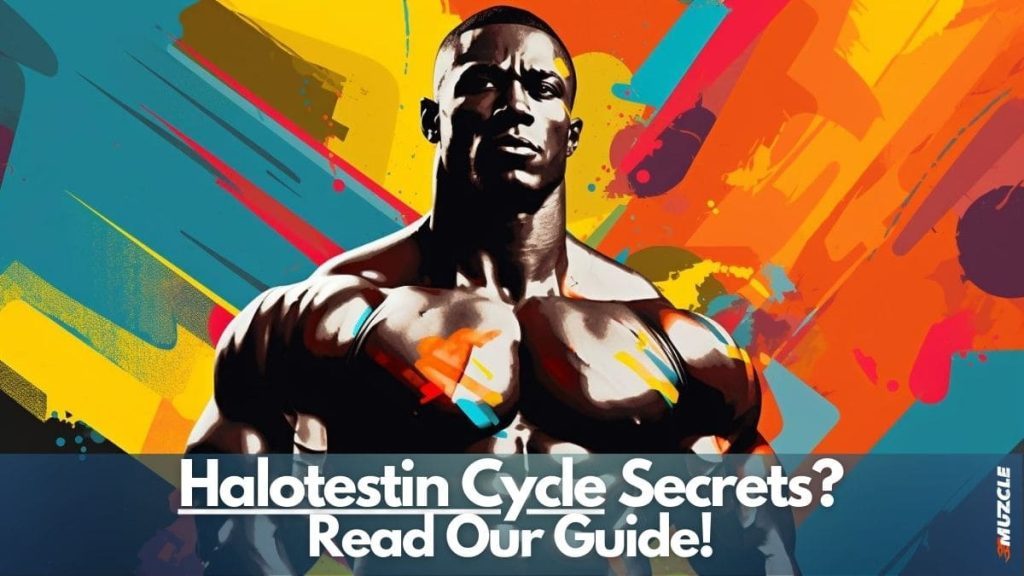 halotestin cycle Key Image